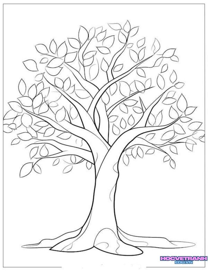 0e6a1bfbe724d927866f1f787b5a53b1