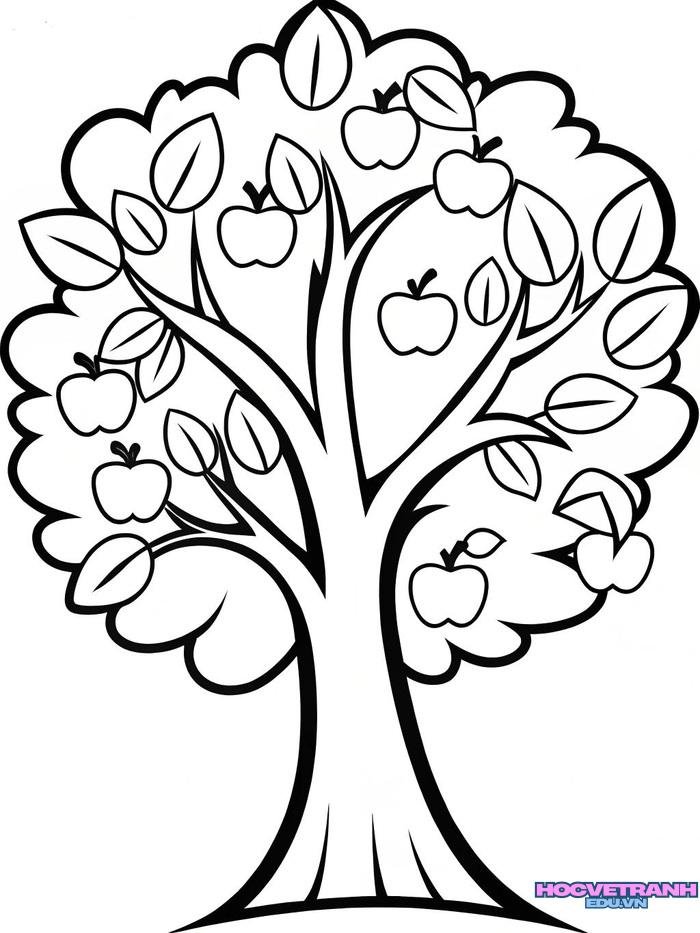 1505e6370a1f448813b27cacfb98a4c0