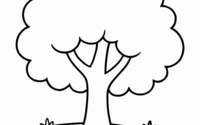 34a50c6200adf59dbfa69f5c6b0128fb