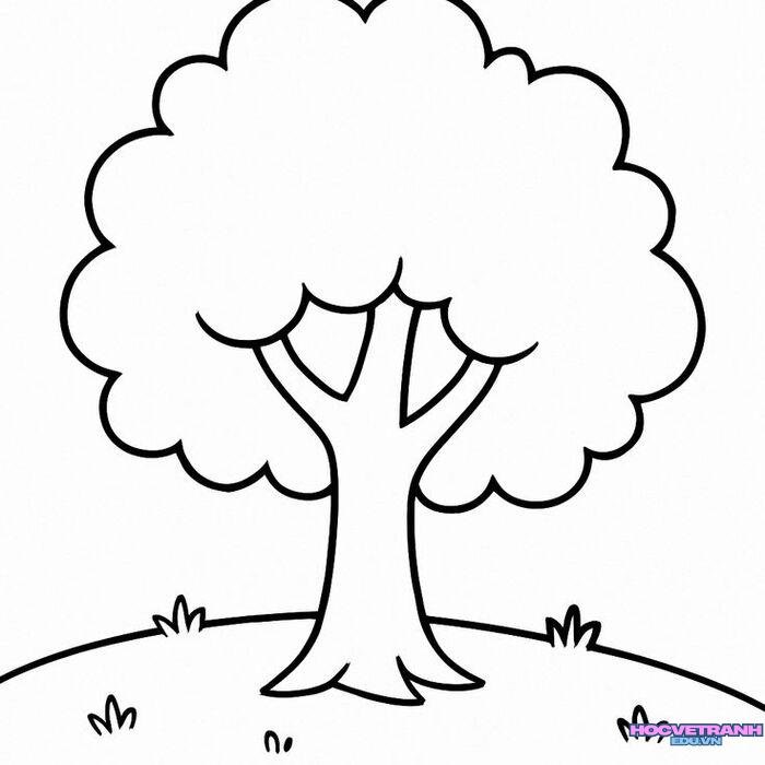 34a50c6200adf59dbfa69f5c6b0128fb