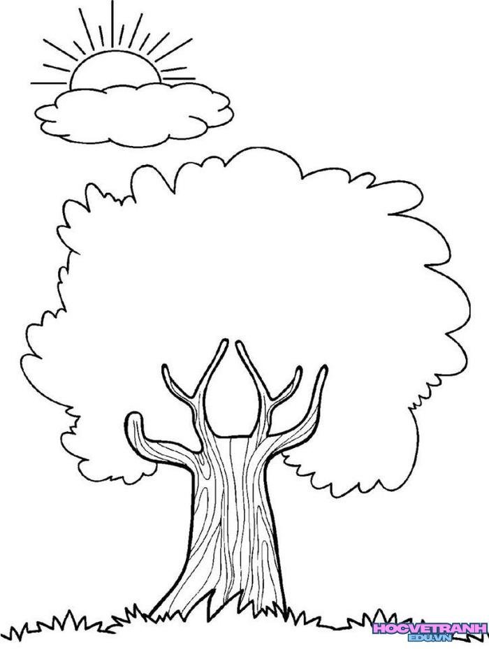 34fedb65efbe1392ebb0855b4c62a25a