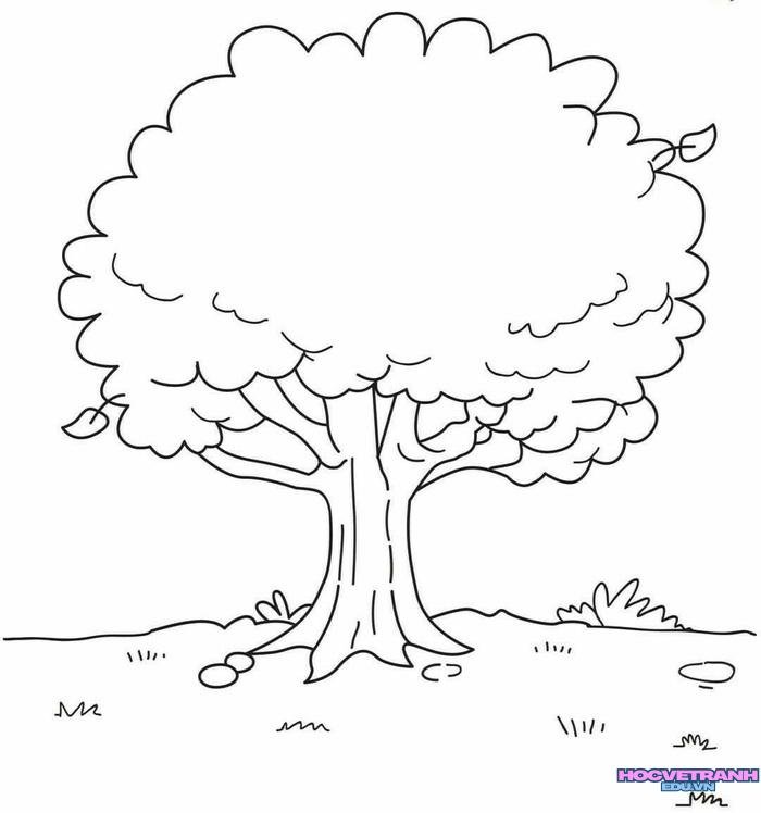 38b7b65a83c54a4148b1f8cb2f63a187