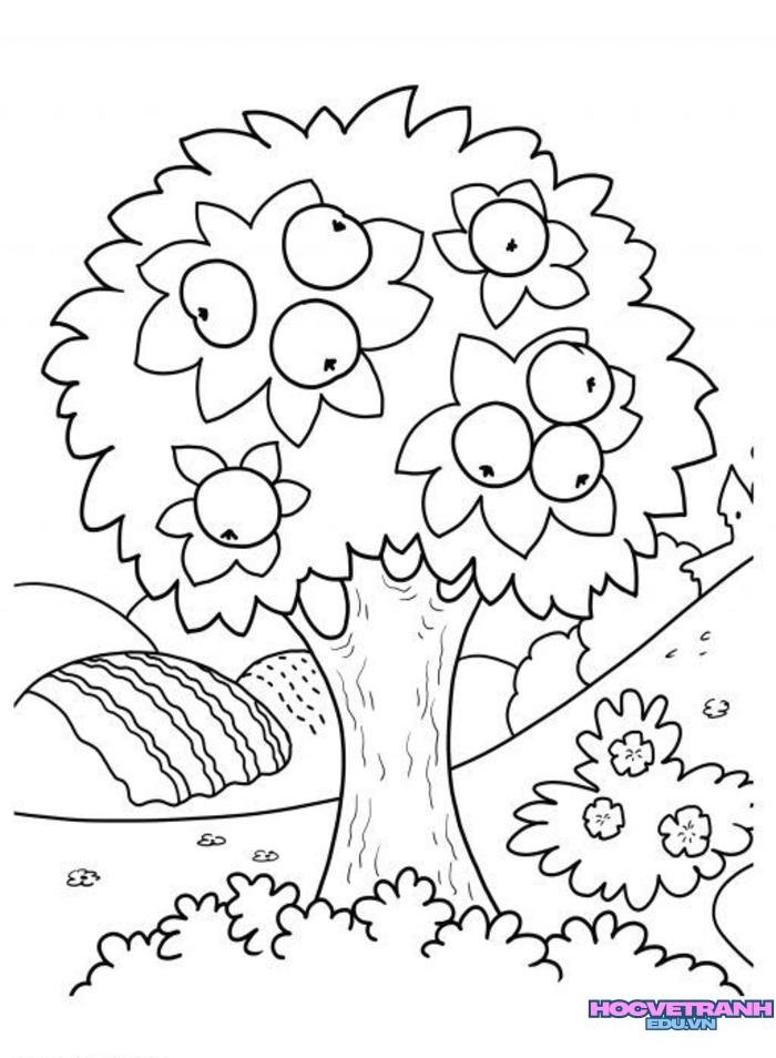 48aede4cb26c3b307e0c91cdac164646