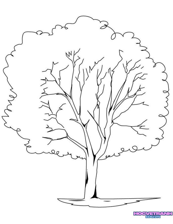 48ffc00f65ad22fe02e3f7a76f2e11d6