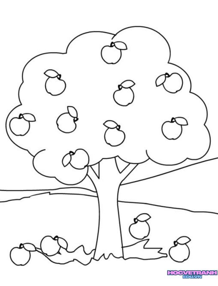 6cf82b80eaed33eb8edb25b14e3bb8f4