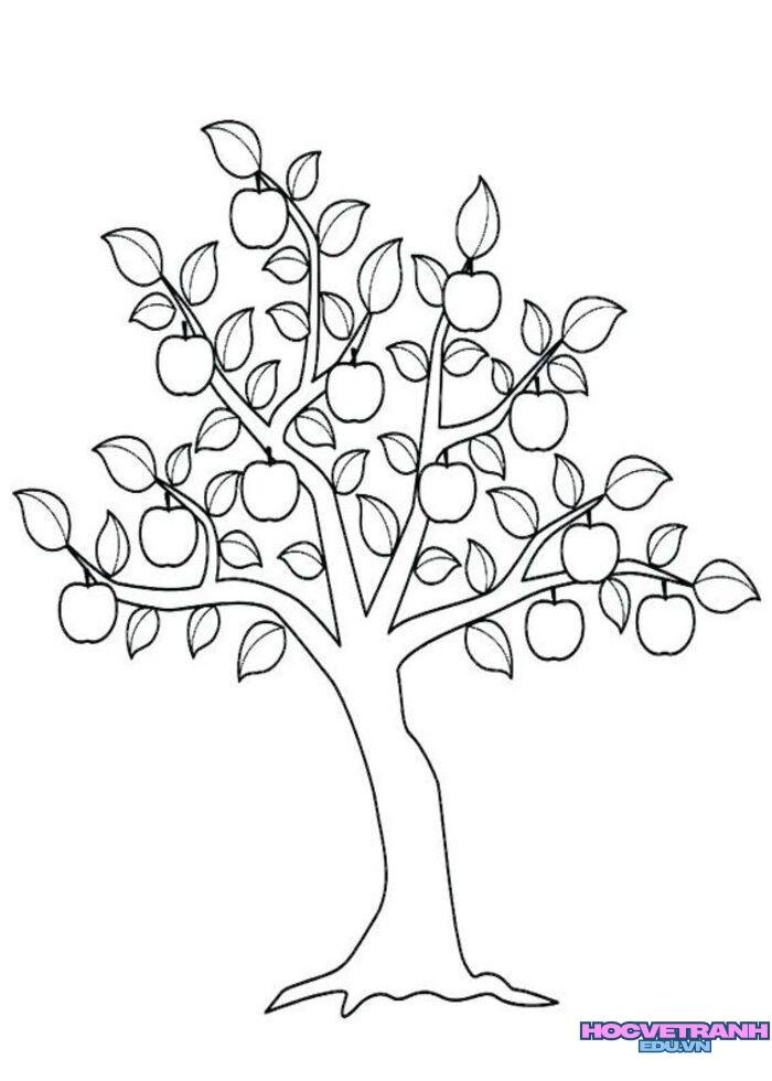 9980a09739b72bd12e13e9f95e6df329