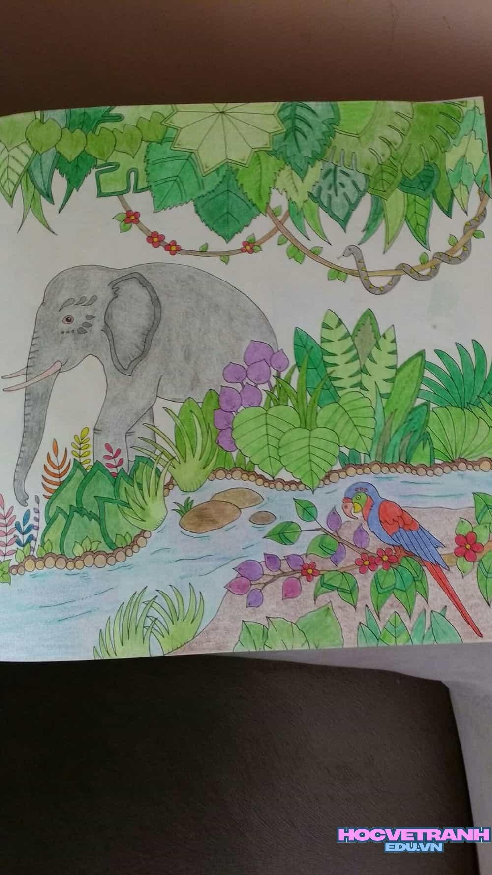 Giữ gìn thiên nhiên hoang