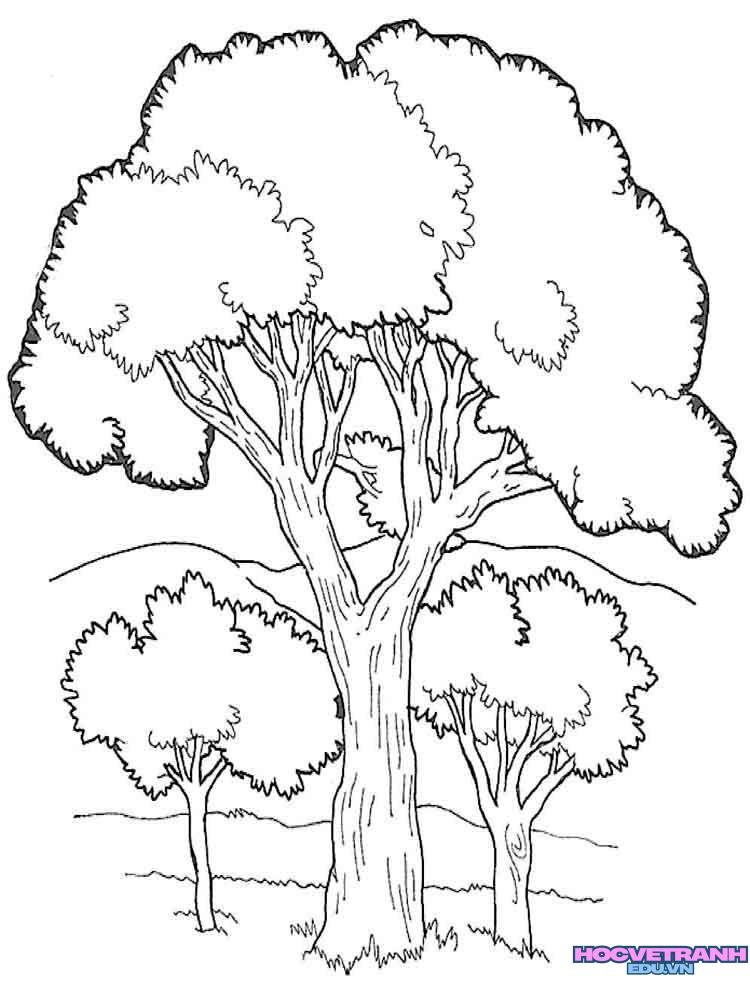 Tranh tô màu cây xanh xinh