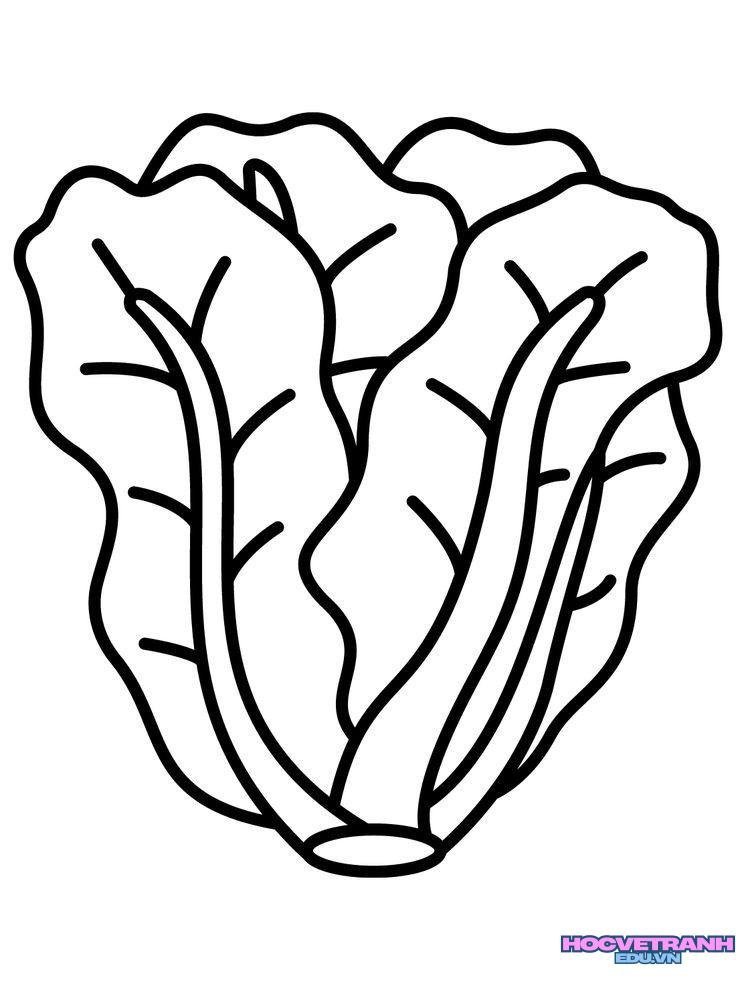 Tranh tô màu đồ ăn