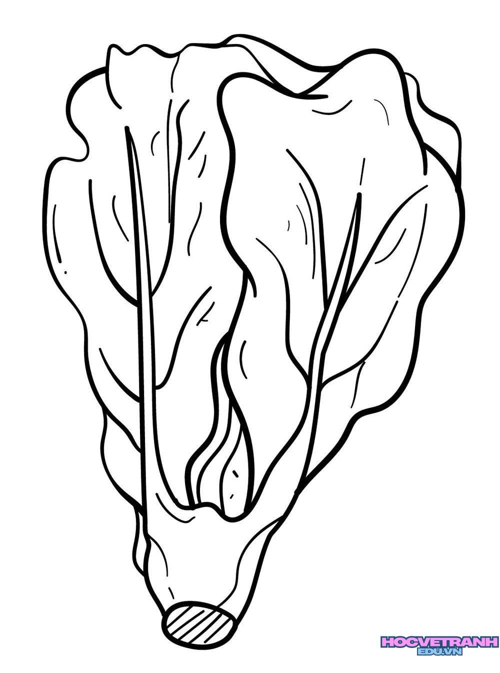 Tranh tô màu đồ uống