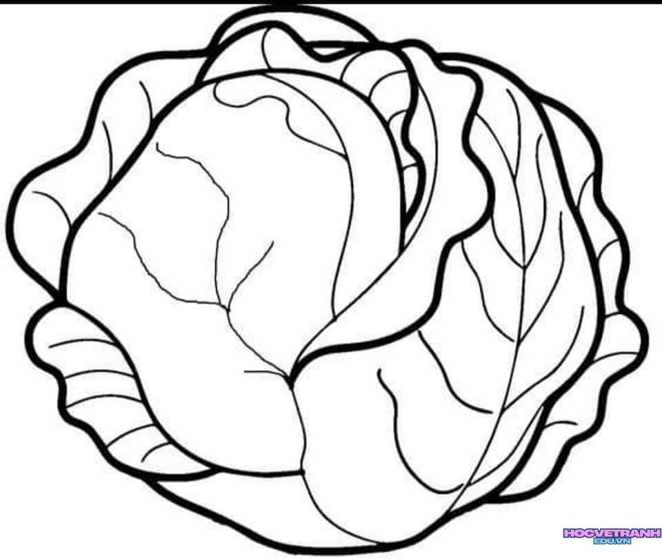 Tranh tô màu món ăn