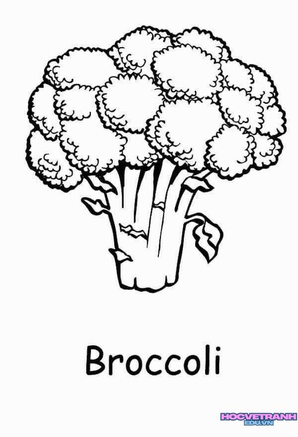 Tranh tô màu ngũ cốc