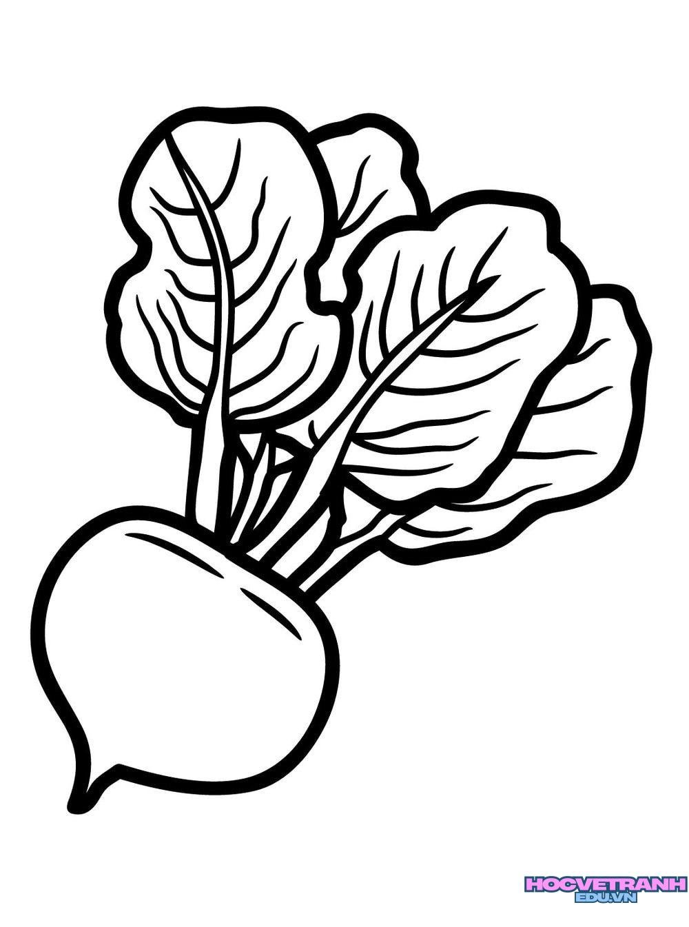 Tranh tô màu rau củ