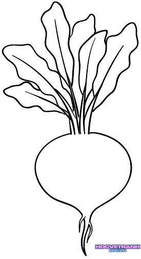 Tranh tô màu thịt cá