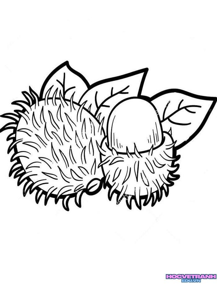 ảnh tranh tô màu các loại quả cực đẹp
