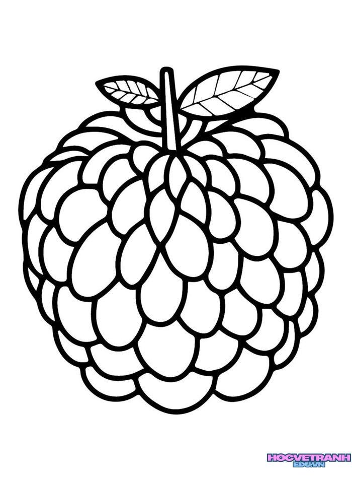 ảnh tranh tô màu các loại quả siêu đẹp