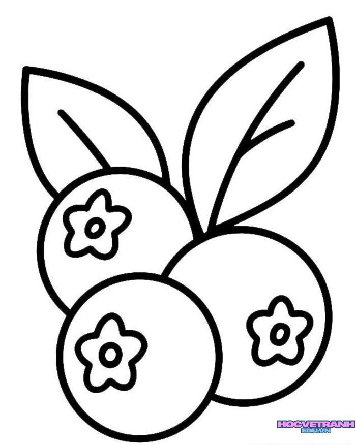 ảnh tranh tô màu các loại quả