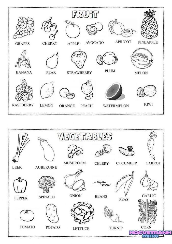 ảnh tranh tô màu các nhóm thực phẩm cho bé đẹp nhất