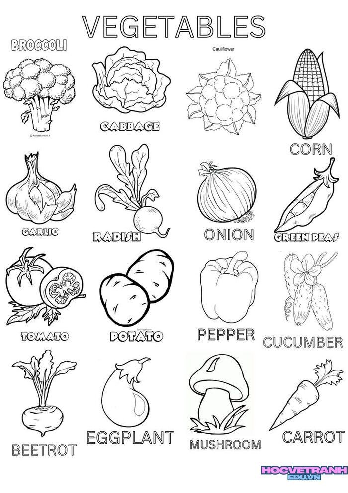 ảnh tranh tô màu các nhóm thực phẩm cho bé xinh nhất