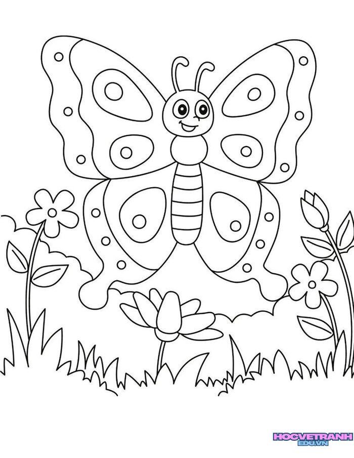 ảnh tranh tô màu con bướm xinh