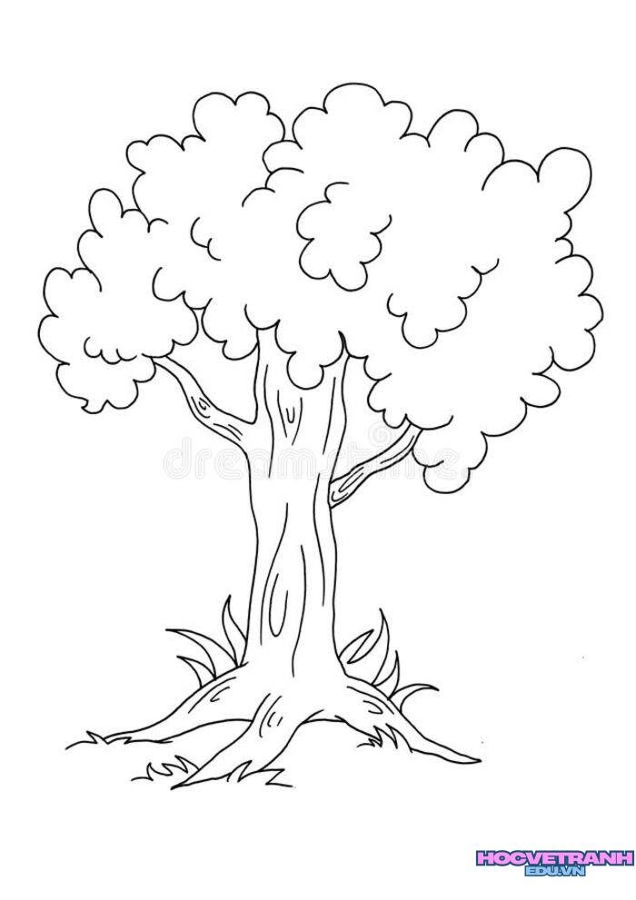 c8fbce4a1ca8f6f63ed991a236614541