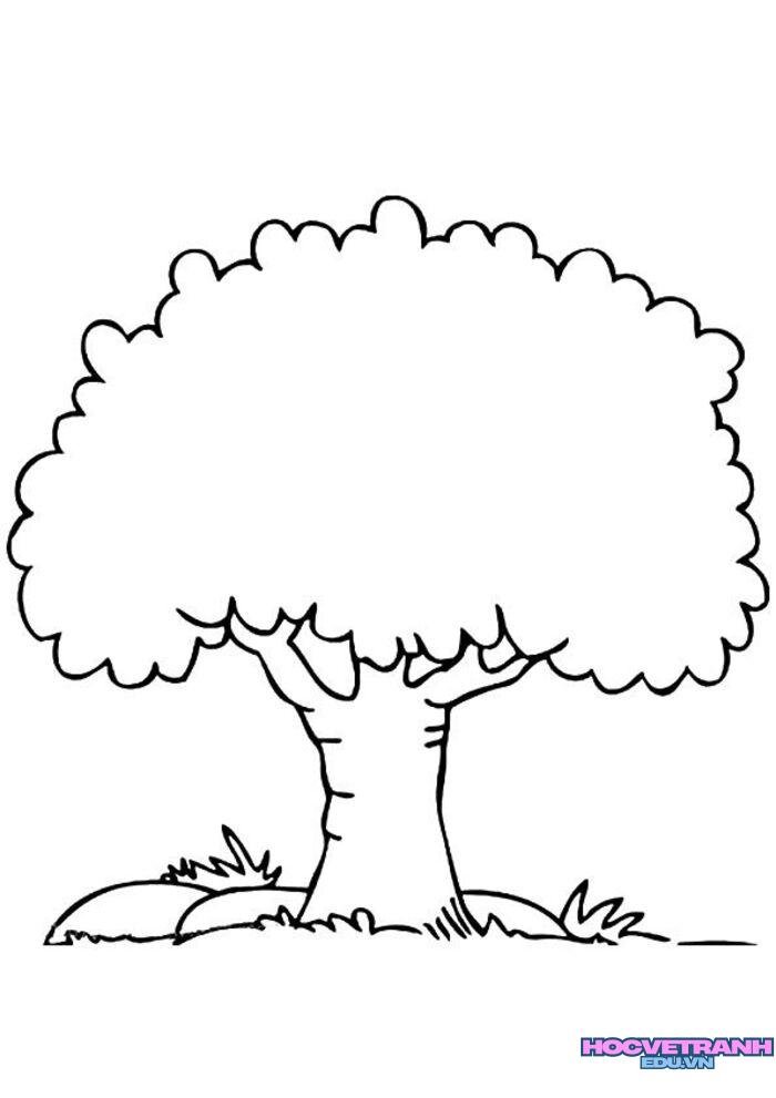 dbbe1428b10fe4353d58b9ea16197592