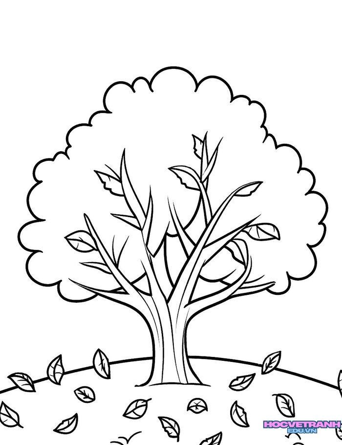 ddc55d6a01fcaf2532877ba157c0e2dc