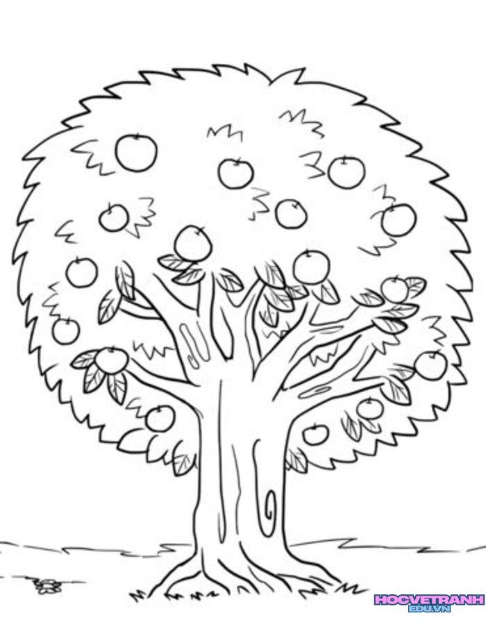 ec0d9728a4ba406cec041c08df21df1c