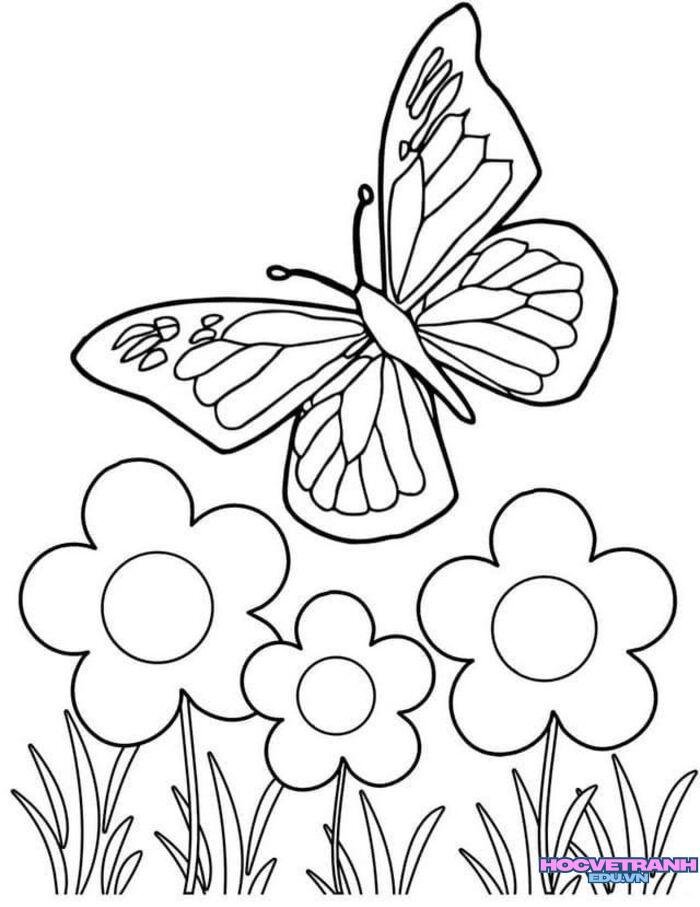 hình ảnh tranh tô màu con bướm siêu xinh