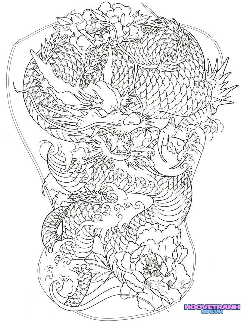 mẫu vẽ tranh con rồng cực đẹp