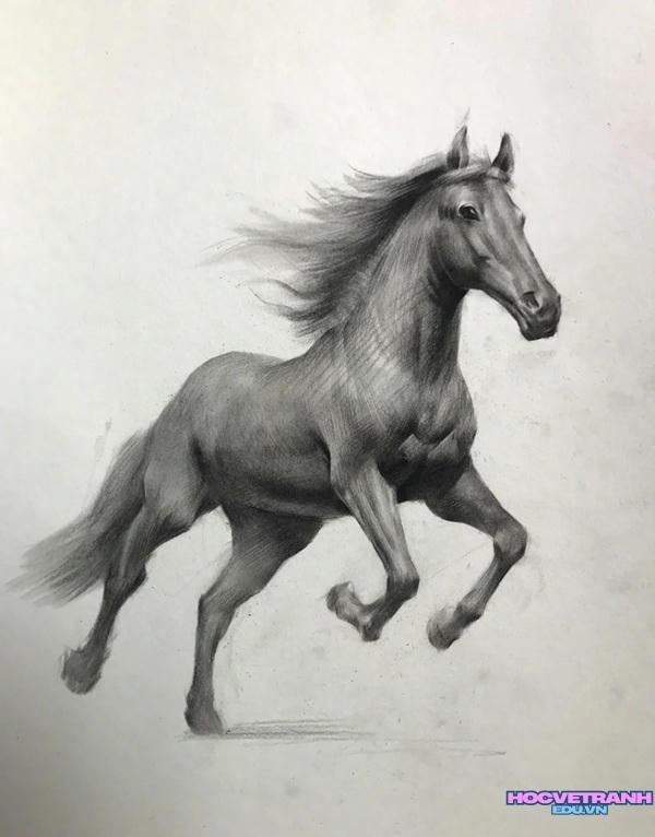 tranh chì ngựa đẹp