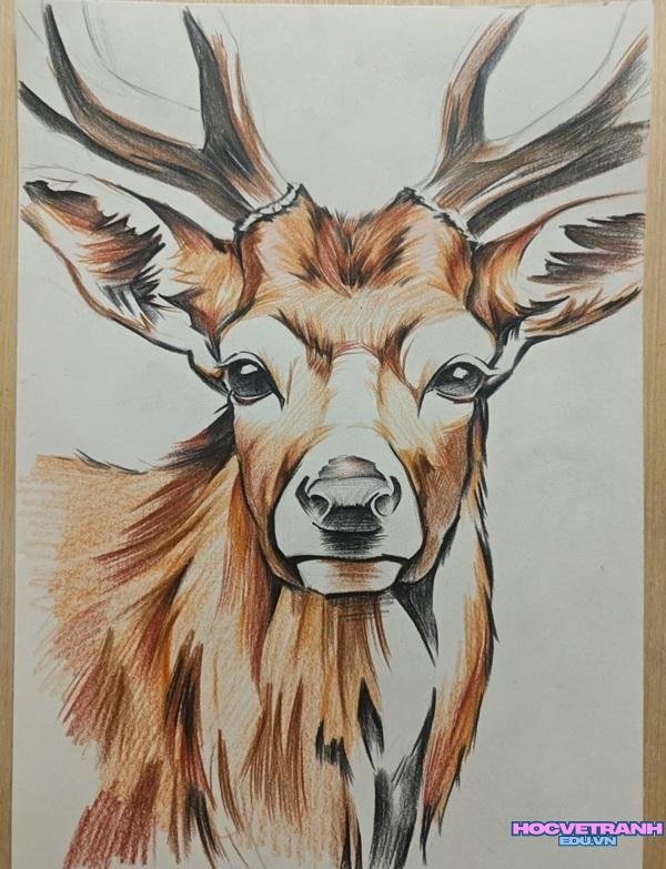 tranh hươu có sừng