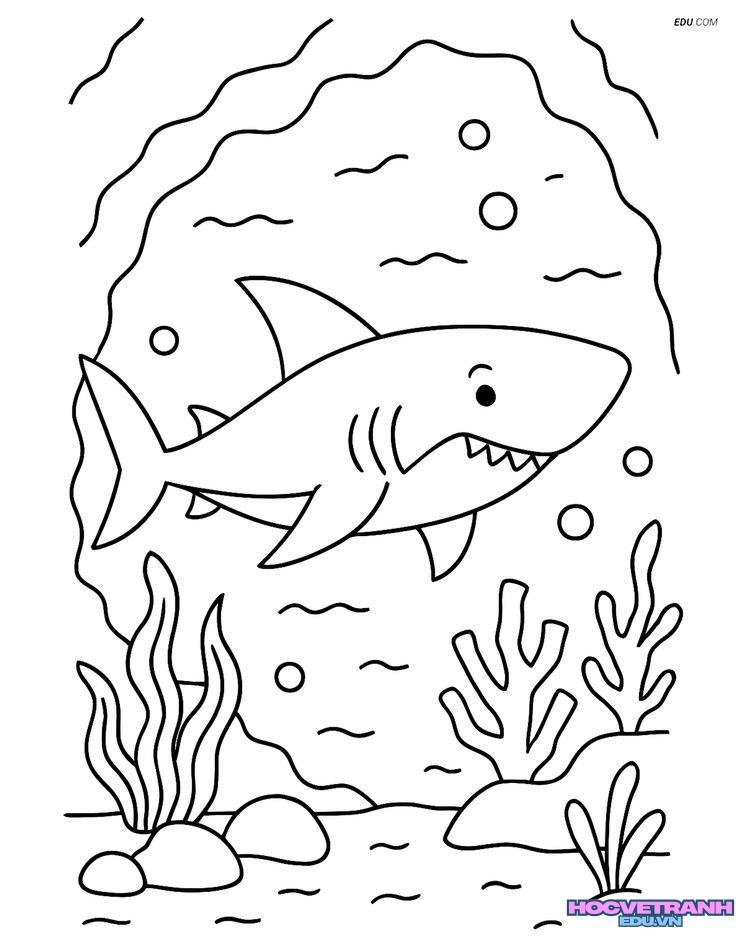 tranh tô màu cá mập to
