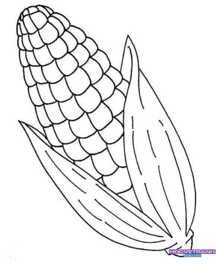 tranh tô màu các loại quả đơn giản