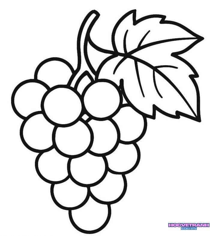 tranh tô màu các loại quả siêu đẹp