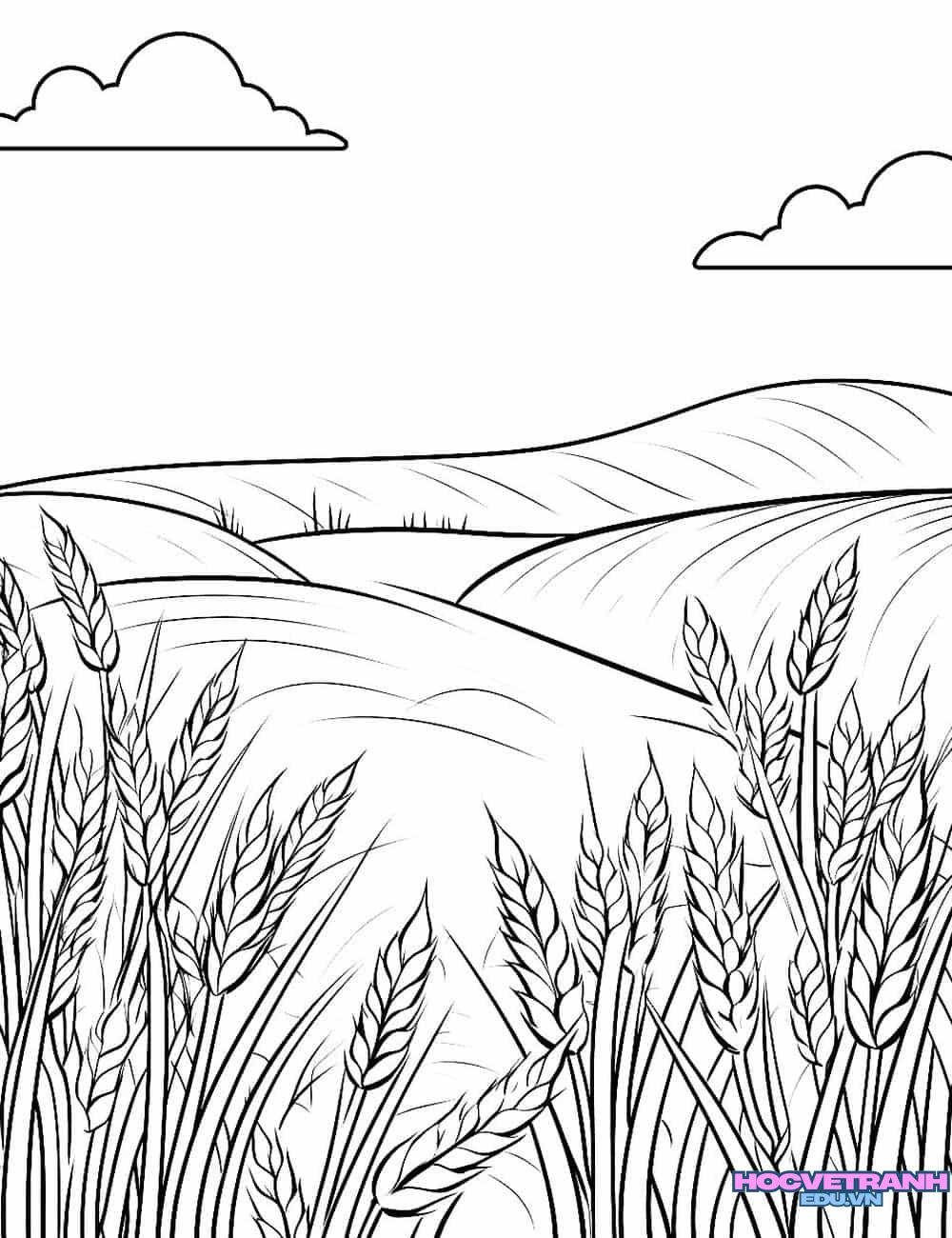 tranh tô màu đất nước Việt Nam