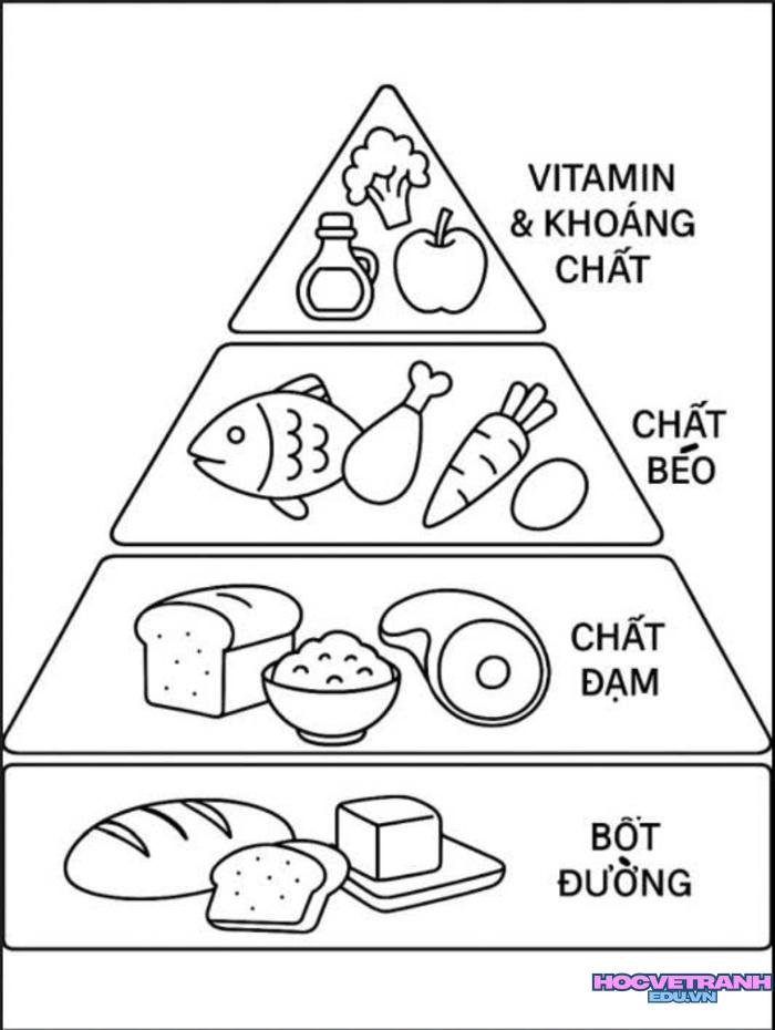 tranh tô màu tháp dinh dưỡng đơn giản 3k