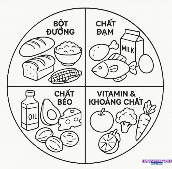 tranh tô màu tháp dinh dưỡng đơn giản 4k