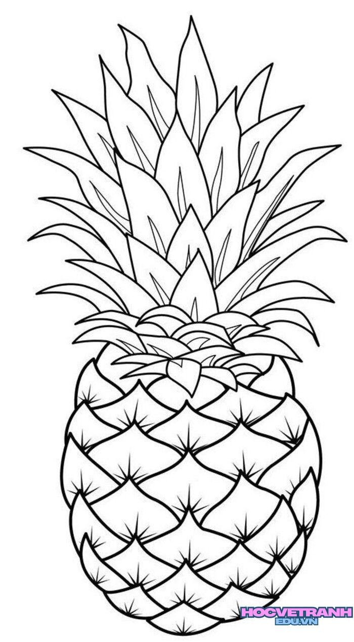 tranh tô màu trái cây 3s full