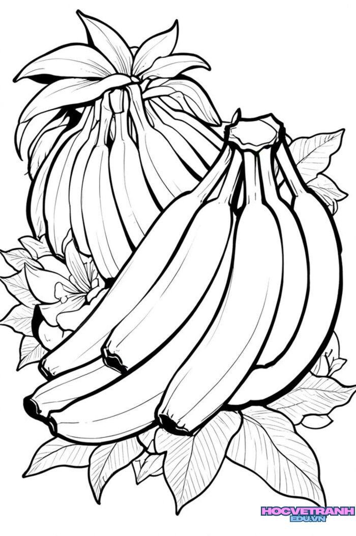 tranh tô màu trái cây 4d full