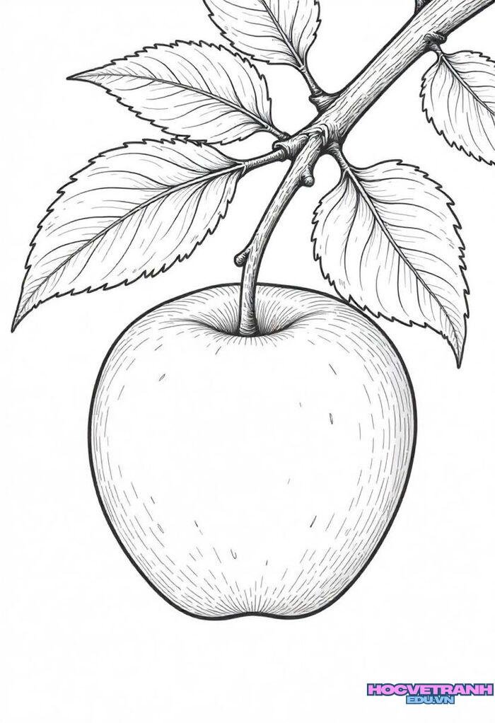 tranh tô màu trái cây 5k full