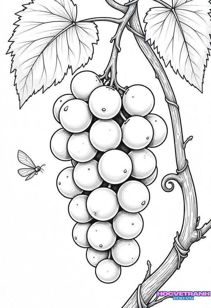 tranh tô màu trái cây đẹp 3s