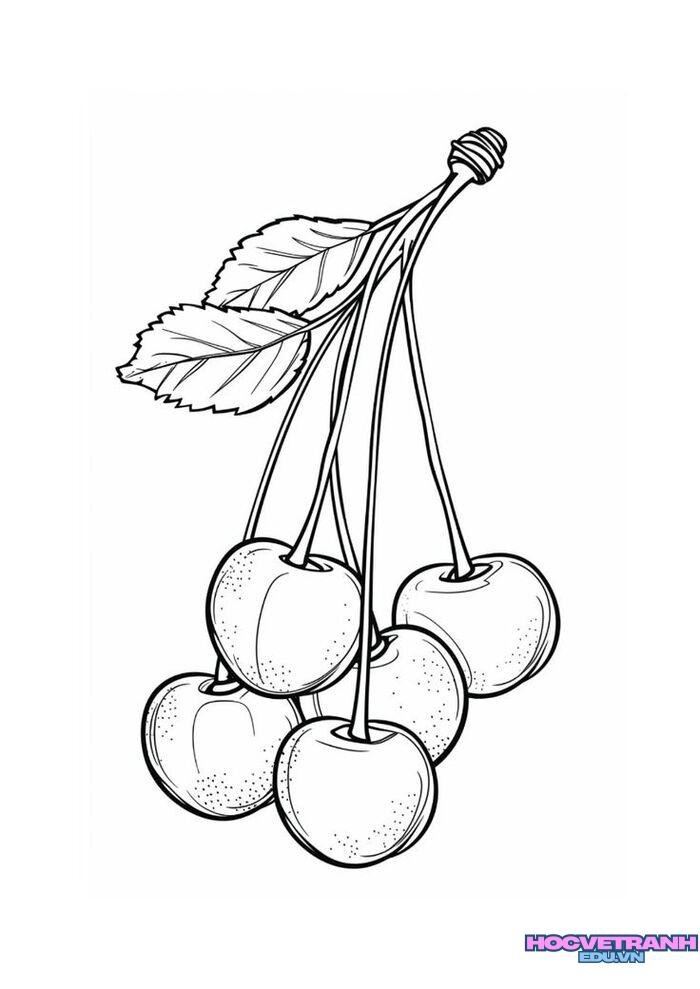 tranh tô màu trái cây đẹp 4k