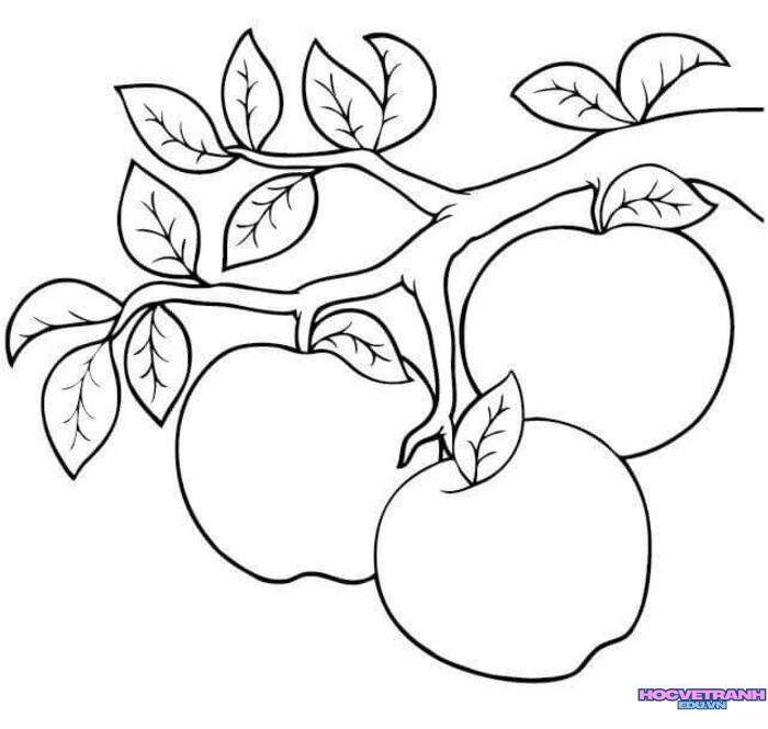 tranh tô màu trái cây đơn giản hd