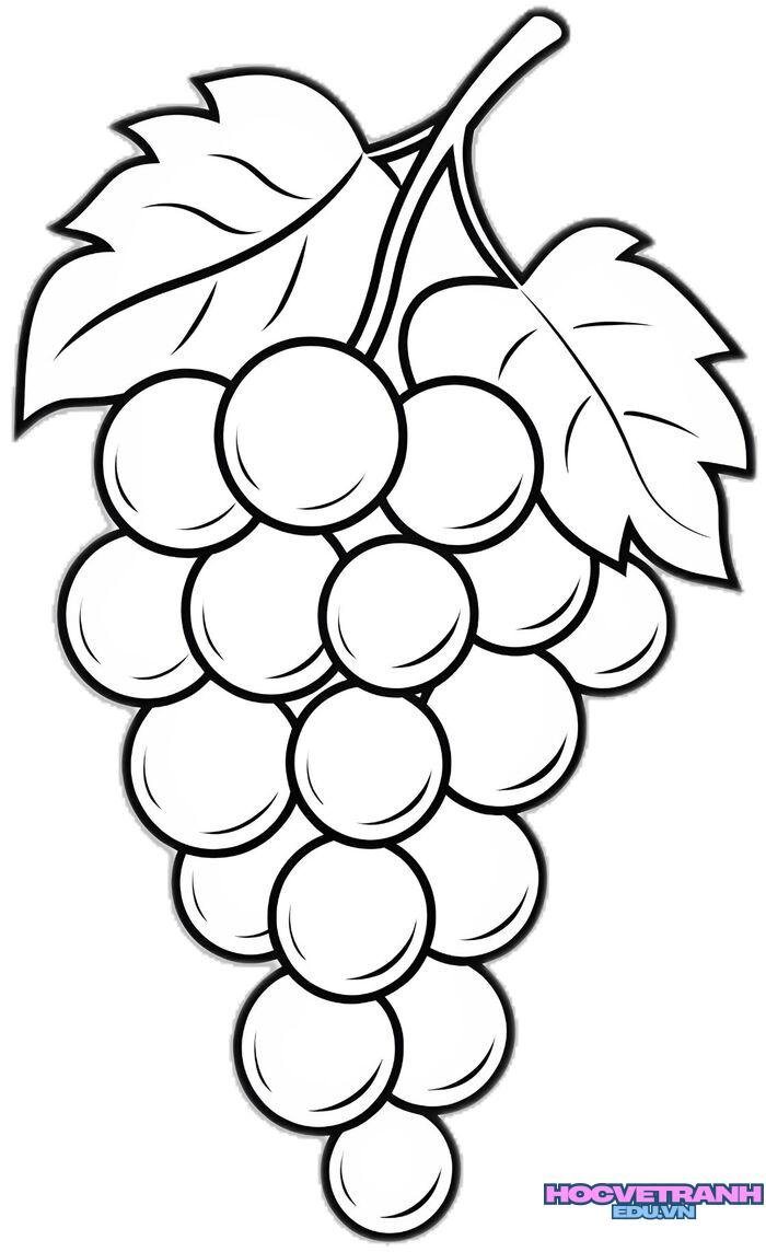 tranh tô màu trái cây hd