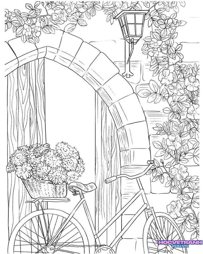 tranh tô màu xe đạp 3d full