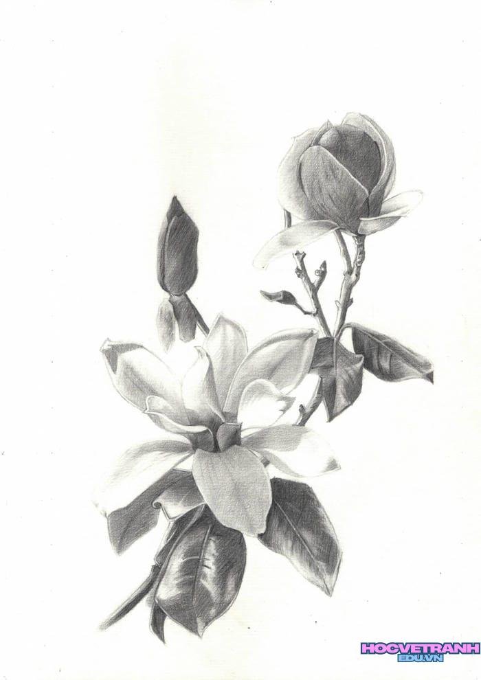 tranh vẽ bằng bút chì với kỹ thuật