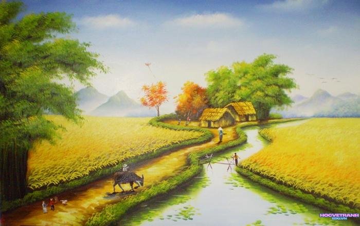 vẽ tranh cánh đồng lúa