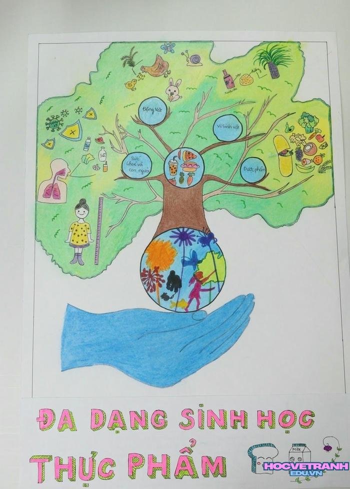 vẽ tranh cổ động thực phẩm