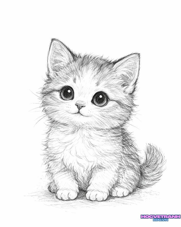 vẽ tranh con mèo nằm